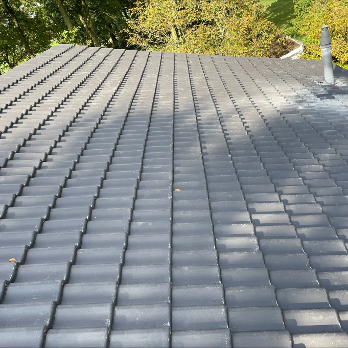 Dak Renovatie 5