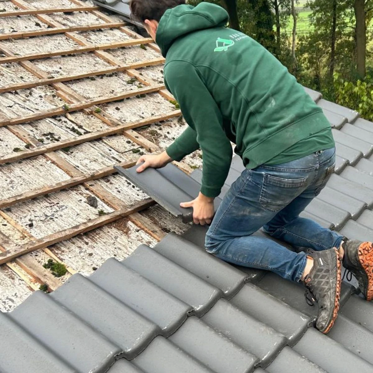 Dakdekker Gemert